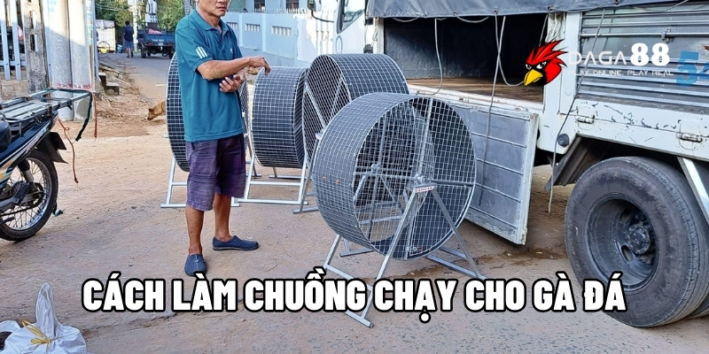 Cách Làm Chuồng Chạy Cho Gà Đá Chỉ Với 3 Bước Đơn Giản 1 cách làm chuồng chạy cho gà đá