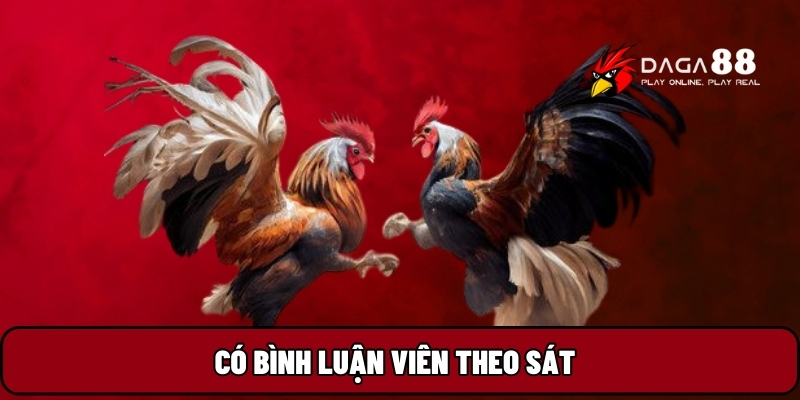 Có bình luận viên theo sát