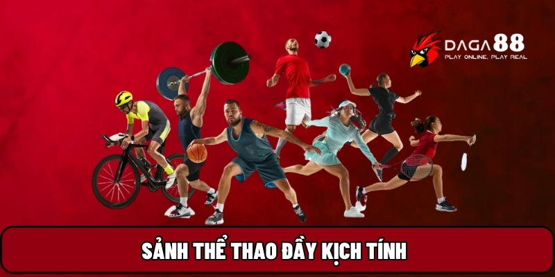 Sảnh thể thao đầy kịch tính