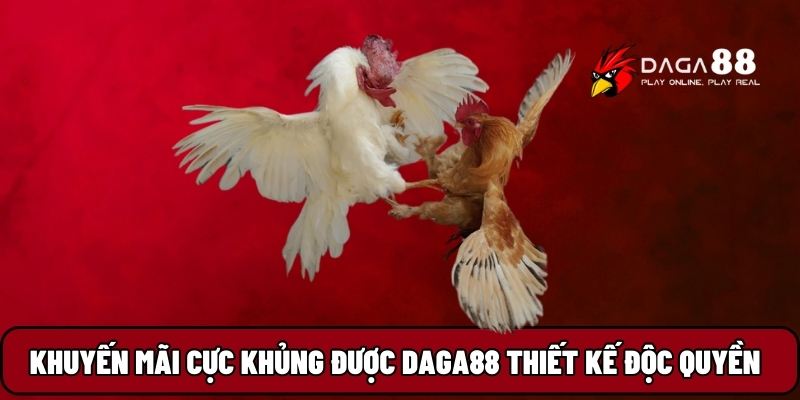 Khuyến mãi cực khủng được Daga88 thiết kế độc quyền