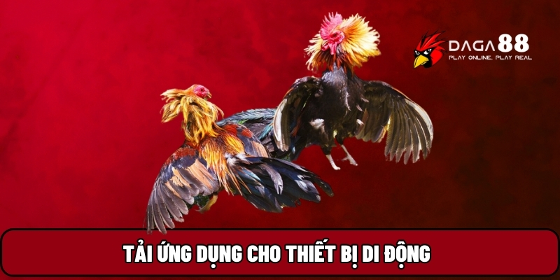 Tải ứng dụng cho thiết bị di động