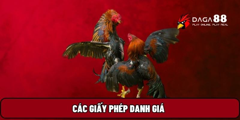 Các giấy phép danh giá