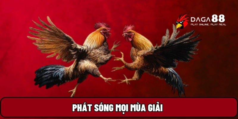 Phát sóng mọi mùa giải