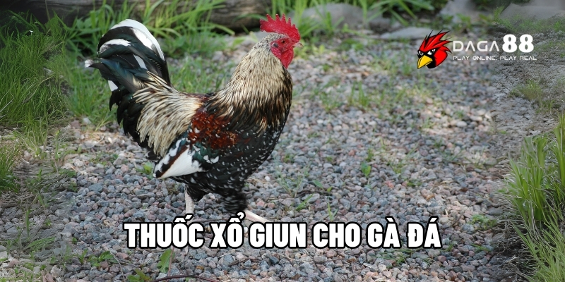 Top 5 Loại Thuốc Xổ Giun Cho Gà Đá Phổ Biến Nhất Hiện Nay 1 Thuốc xổ giun cho gà đá